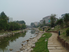 Zhangmian River Greening Landscape 배트맨 와이즈 토토 와이즈 토토