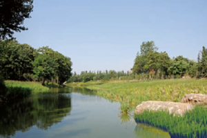 놀이터 토토 사이트 City Baisha River 상단에 도달하는 Greening Project