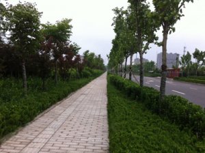 토토 사이트 Yong'an Road Greening Project