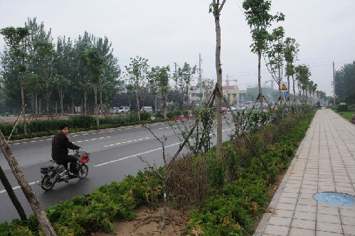 토토 홍보 City의 Wolong West Street (West Ring Road to Changshong Road)